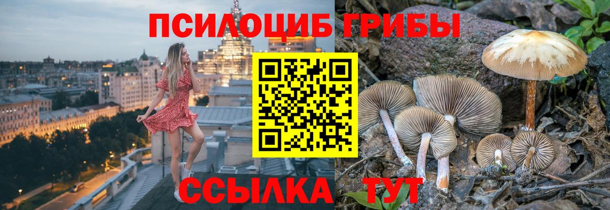 Галлюциногенные грибы MAGIC MUSHROOMS  как найти закладки  Сегежа  Вход с VPN 